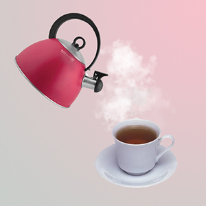 Чайник для дома Какой чайник лучше выбрать