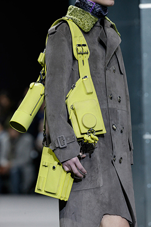 Сумки Alexander Wang Alexander Wang осень-зима 2014/2015