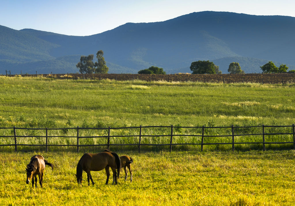 Тосканские пейзажи Пейзажи Тосканы