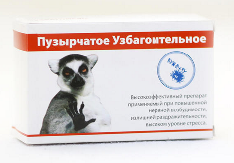 бюджетные подарки на новый год 2016